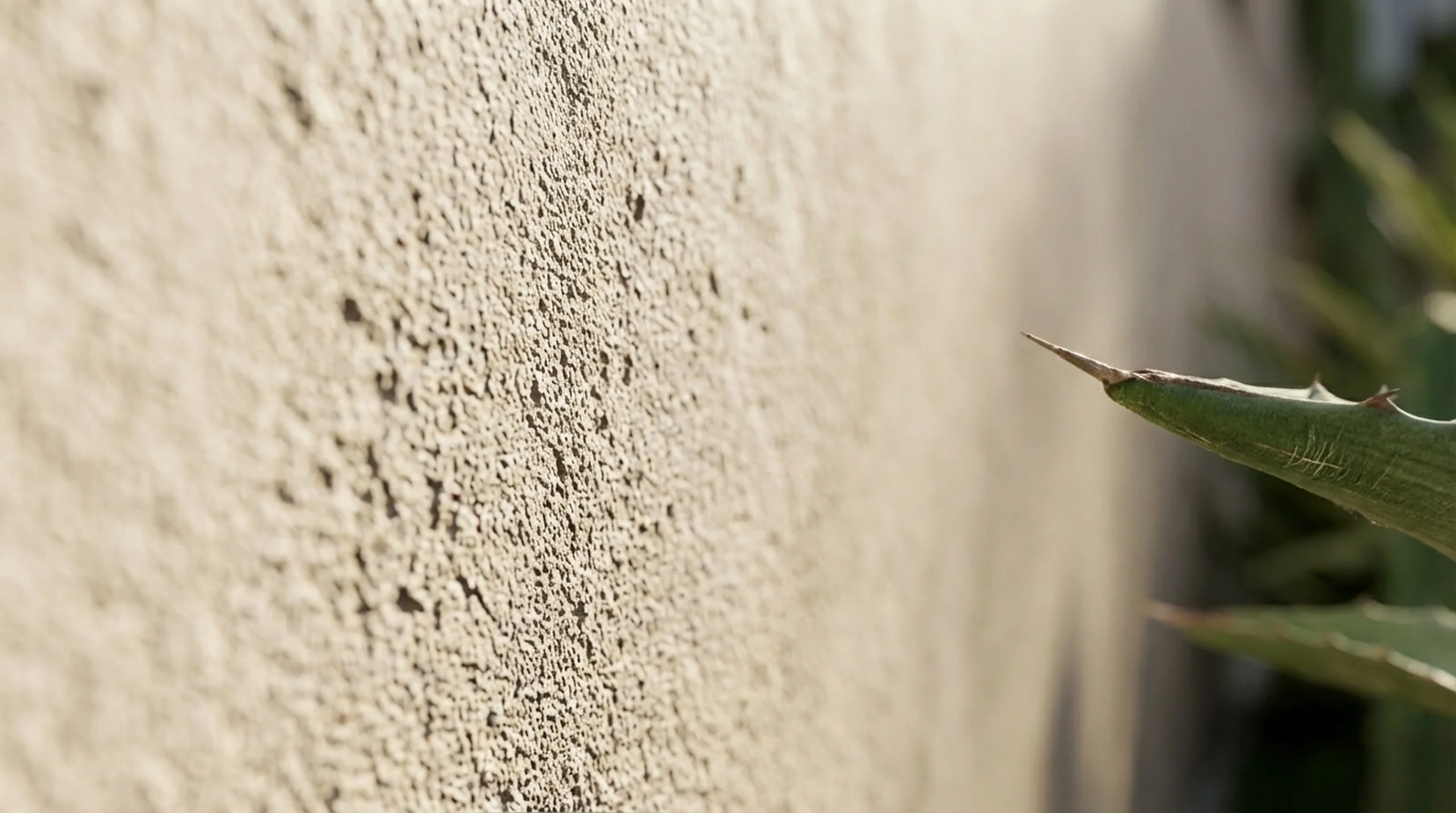 Texture & Micro Detail